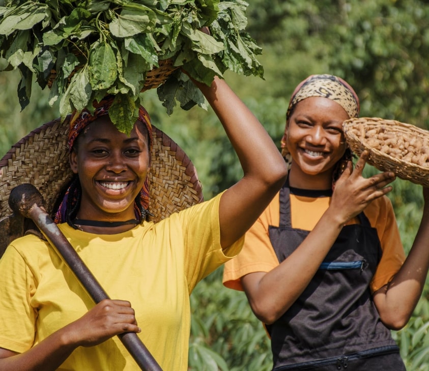 Gardening farm scene